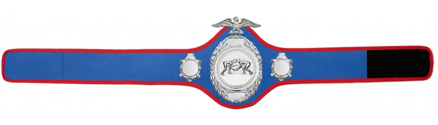 GRAPPLING CHAMPIONSHIP BELT - PRO288/S/GRAPS - 10 COLOURS